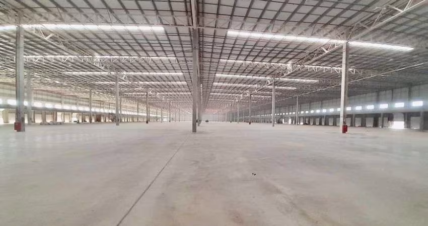 Galpão/Depósito/Armazém Cross Docking aluguel 11172 metros quadrados Guarulhos - Gaioli