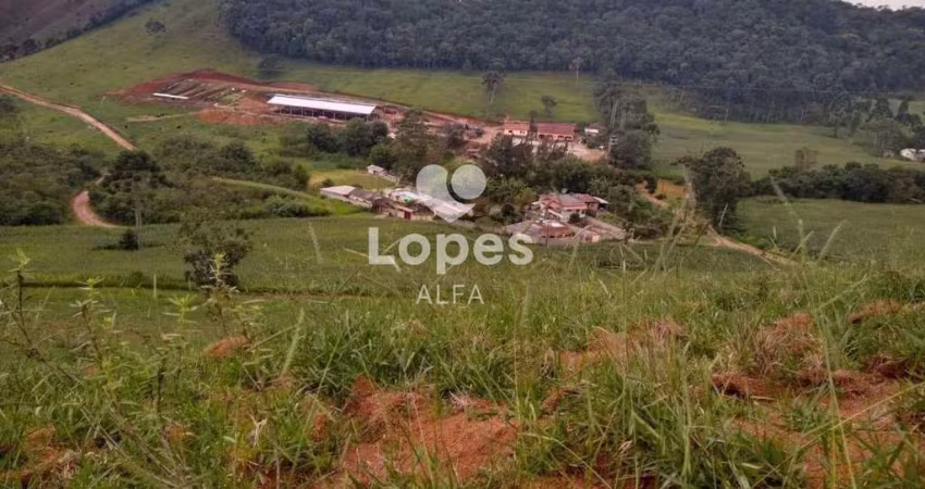Fazenda à venda em Barbacena, Correia de Almeida, com 4 quartos, 30,2357ha