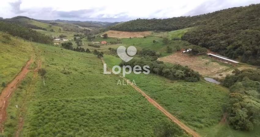 Fazenda Leiteira Completa e Produtiva com Estrutura de Alta Capacidade - Oportunidade Única em Antônio Carlos, MG