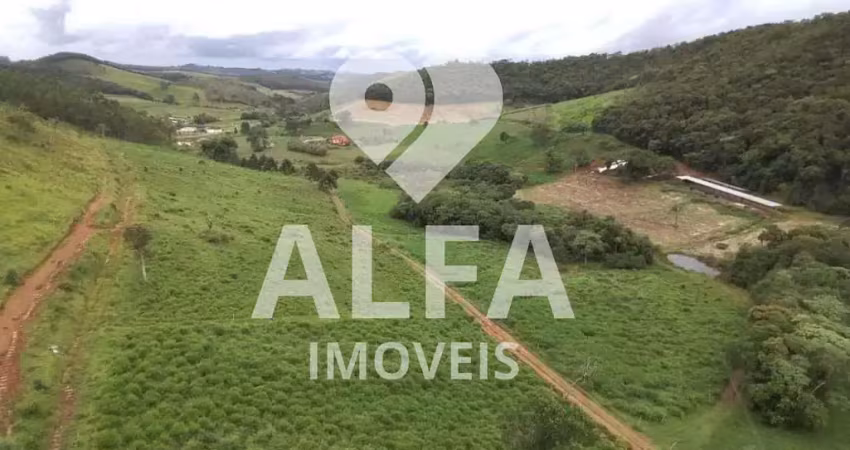 Fazenda leiteira completa e produtiva com estrutura de alta capacidade - oportunidade única em antônio carlos, mg