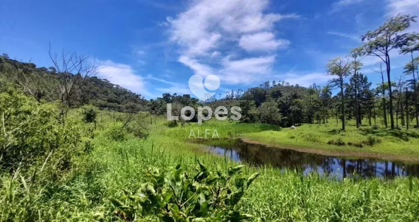 Fazenda à venda em Barbacena, Correia de Almeida, com 4 quartos, 53ha