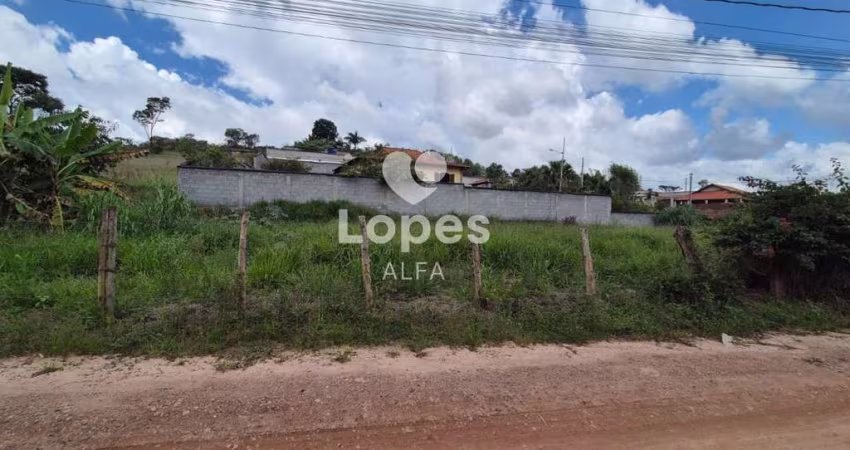 Lote à venda em Barbacena, Colônia Rodrigo Silva, 800m²
