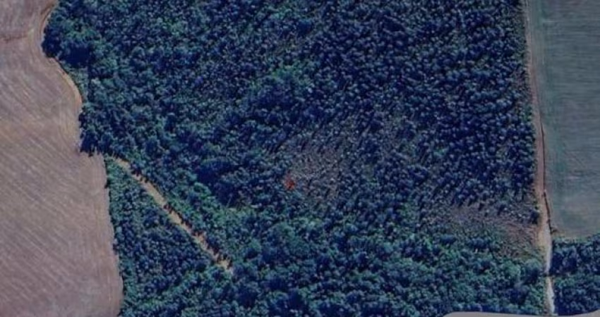 Área Rural para Venda em Prudentópolis, Zona Rural