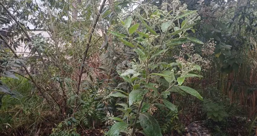 Terreno à venda na Avenida Santa Inês, 1805, Parque Mandaqui, São Paulo