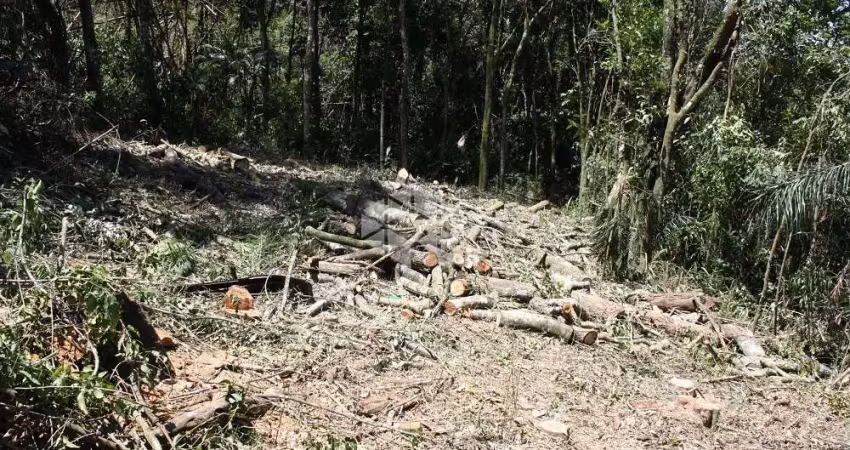 Casa em condomínio fechado à venda na Barão De Guedes, 1, Roseira, Mairiporã