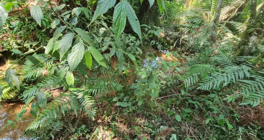 Terreno à venda na Rua da Canafístula, 467, Parque do Embu, Colombo