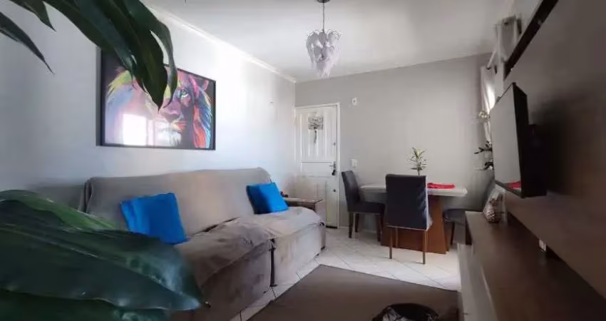 Apartamento - Areias - São José