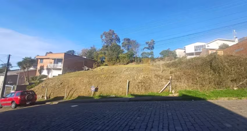 Terreno à venda no bairro vila verde - caxias do sul/rs