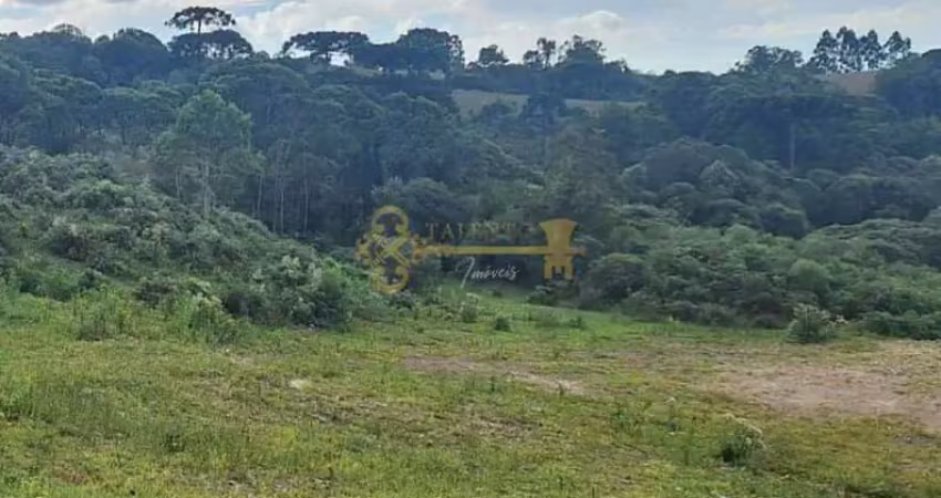Terreno à venda no bairro jardim iracema - caxias do sul/rs