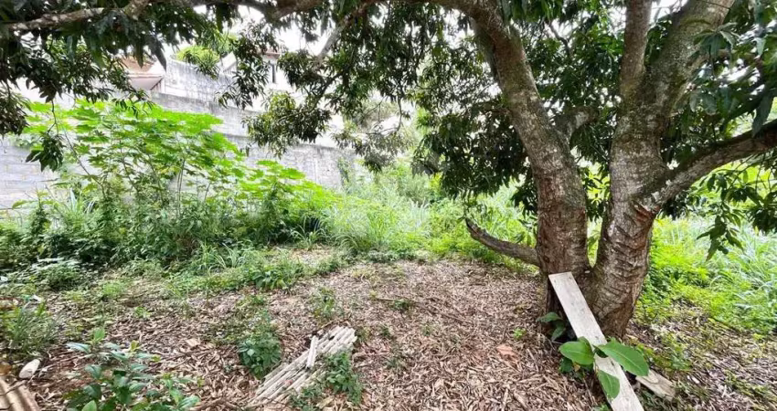 Terreno à venda na Beco Olímpia Antunes da Costa, Geribá, Armação dos Búzios