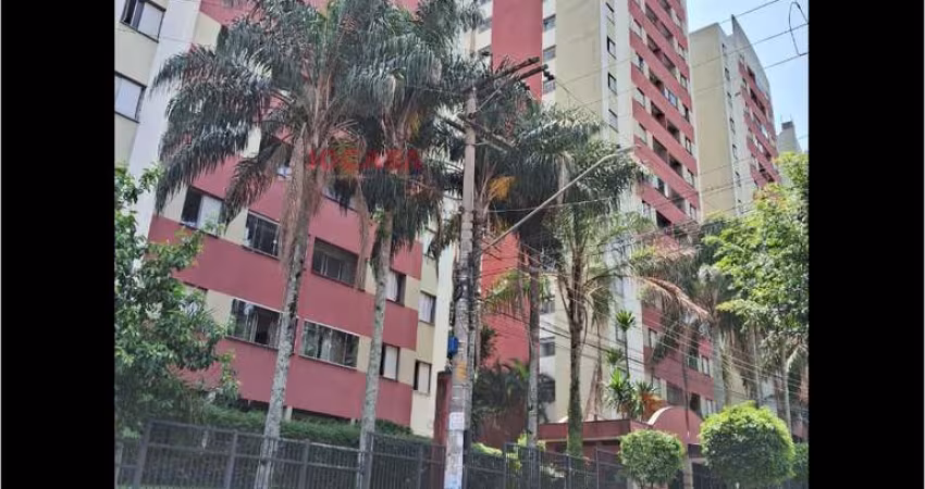 apartamento no jardim santa terezinha