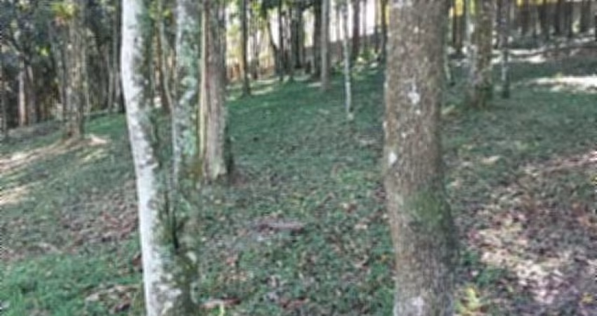 TERRENO SEMI PLANO RIACHO GRANDE