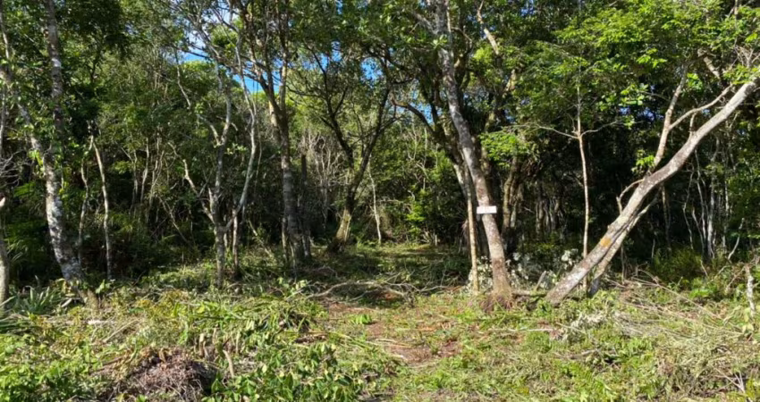 Terreno para Venda, Peruíbe / SP