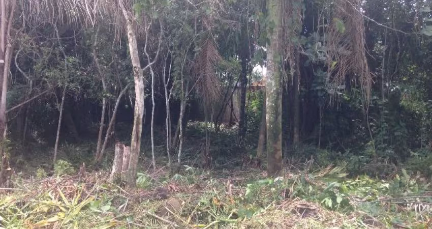 Terreno para Venda, Itanhaém / SP