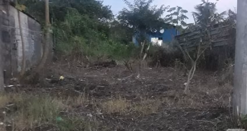 Terreno para Venda, Itanhaém / SP