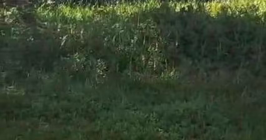 Terreno para Venda, Itanhaém / SP