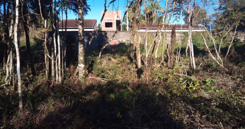 Terreno para Venda, Peruíbe / SP