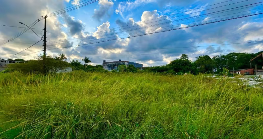 Terreno para Venda, Itanhaém / SP