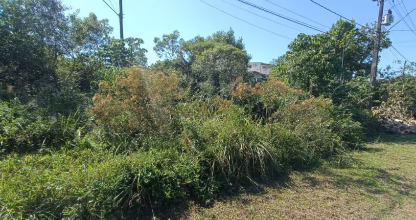 Terreno para Venda, Itanhaém / SP