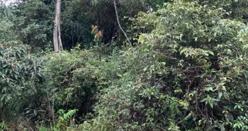 terreno em condomínio de frente à rodovia em Iguape