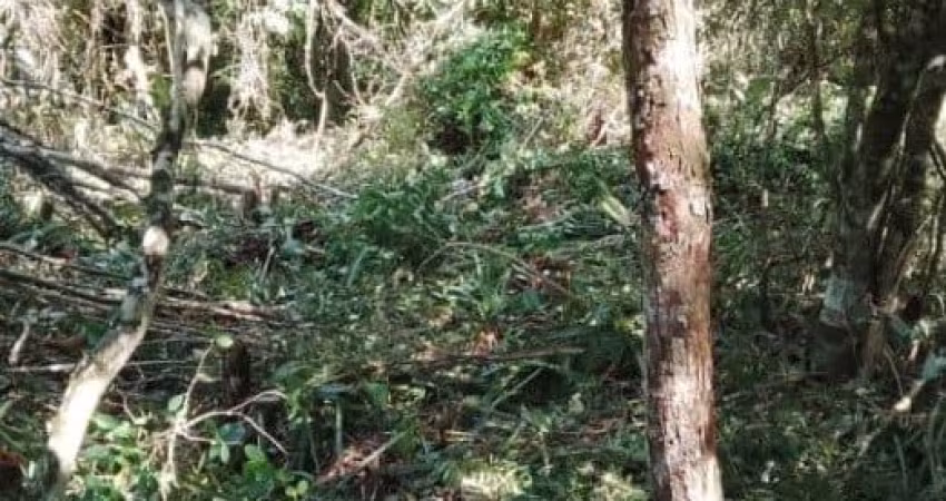 Terreno sendo lote inteiro à 800 metros do mar em Itanhaém