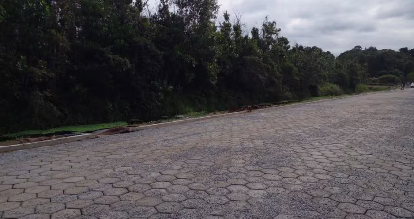 Terreno sendo lote inteiro à 2.8 km da rodovia em Itanhaém