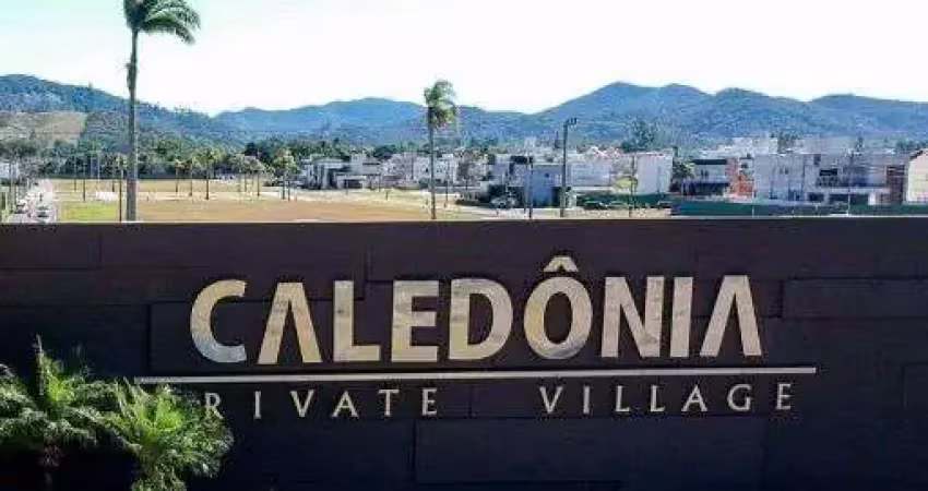 Caledônia  Camboriú