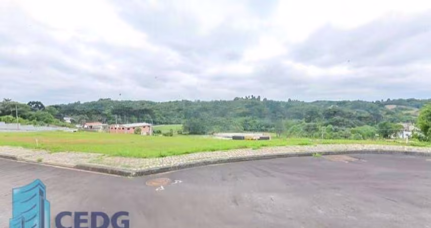 Oportunidade: Terreno com 608 metros em Campo Largo