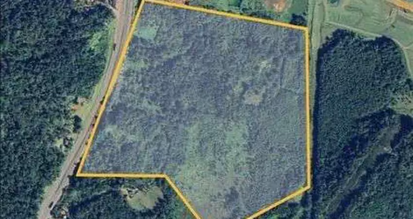 Terreno à venda na Marta, Morretes 
