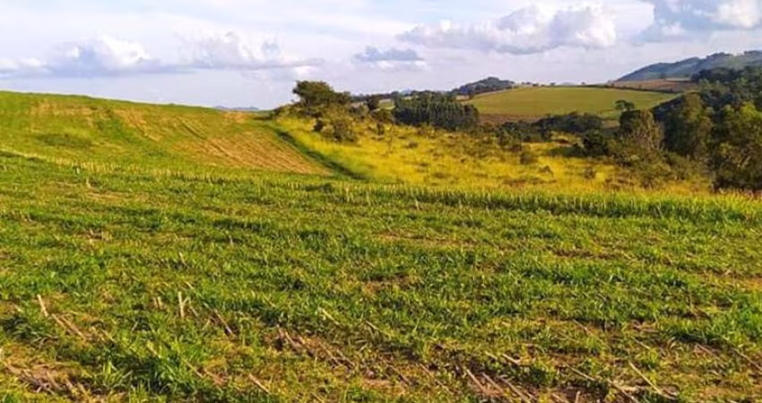 Venda de Sítio em Santa Rita de Caldas