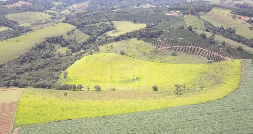 Chácara / sítio à venda na Zona Rural, 9999, Zona Rural, Campestre