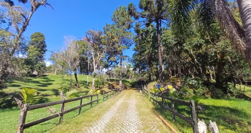 Chácara - Contenda - São José dos Pinhais - Pr