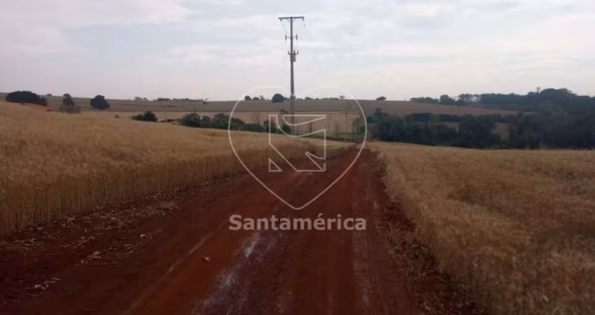 Terreno Para Alugar Em Londrina Região Leste De Londrina