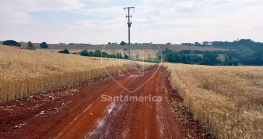 Terreno Plano com 5.000m² Para Alugar em Londrina