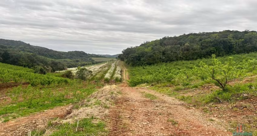 Terreno à venda na Travessão Cremona, Ana Rech, Caxias do Sul