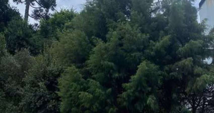 Terreno à venda na Rua Pedro Pezzi, 645, Panazzolo, Caxias do Sul