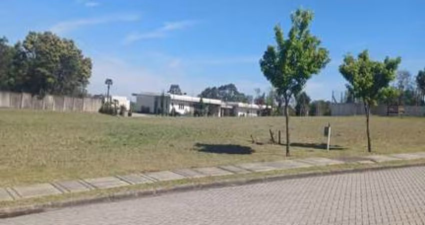Terreno à venda na Estrada Bento Osvaldo Trisch, 00, Pedancino, Caxias do Sul