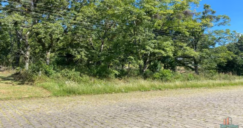 Terreno comercial para alugar na Dr, Emilio Ataliba Finger, 5639, Colina Sorriso, Caxias do Sul