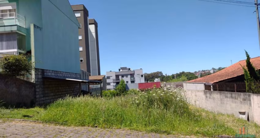 Terreno à venda na Rua Antonio Roberto Schumacher, Nossa Senhora da Saúde, Caxias do Sul