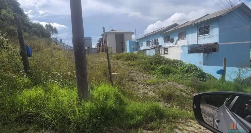 Terreno à venda na Loteamento Belenzier  Lote 8 Quadra 5 +11, 8, Esplanada, Caxias do Sul