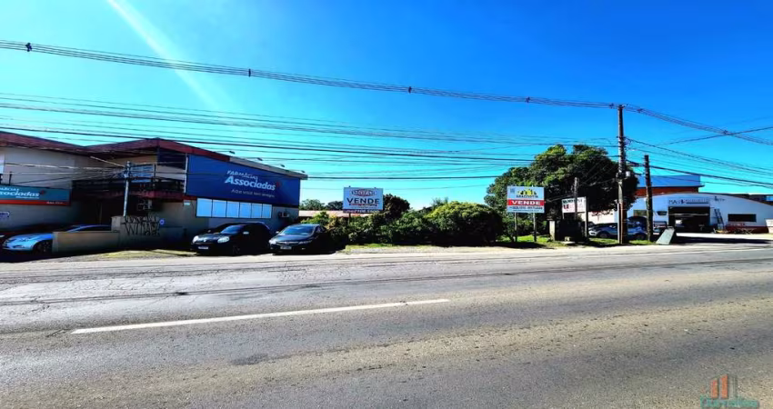 Terreno comercial para alugar na Estrada Federal Br 116, 15315, São Ciro, Caxias do Sul