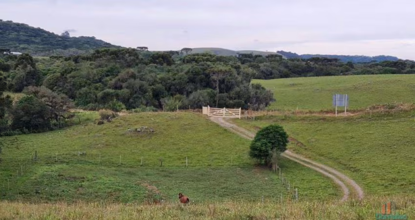 Fazenda à venda na Principal, Vila Oliva (Distrito), Caxias do Sul