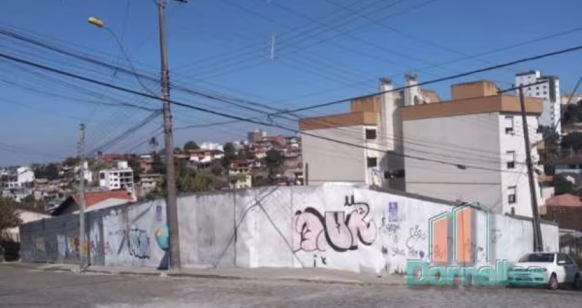 Terreno à venda na Rua Campos Júnior, 00, Rio Branco, Caxias do Sul