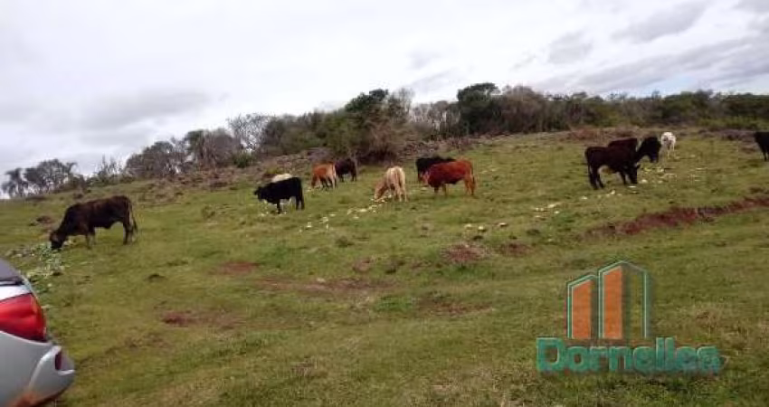 Chácara / sítio à venda na Arcido Giacomo Dall'agnol, 00, Santa Lúcia do Piaí, Caxias do Sul