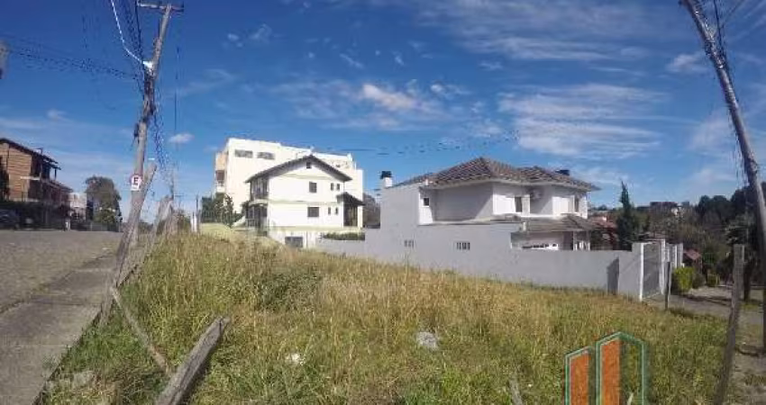 Terreno comercial para alugar na Ito Ruschel Rauber, 267, Planalto, Caxias do Sul