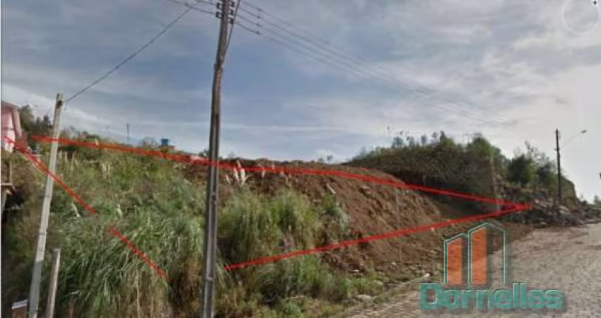 Terreno à venda na Cesar Passarinho, 5310, Salgado Filho, Caxias do Sul