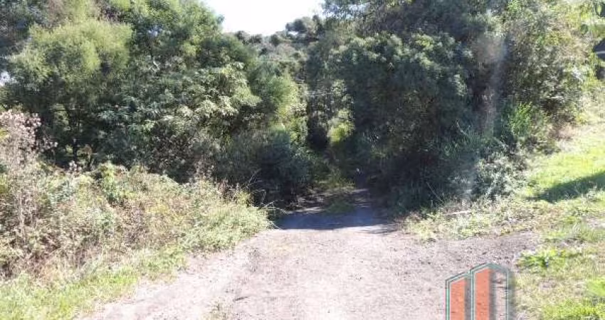 Terreno à venda na Travessao Vitor Emanuel, Brandalise, Caxias do Sul