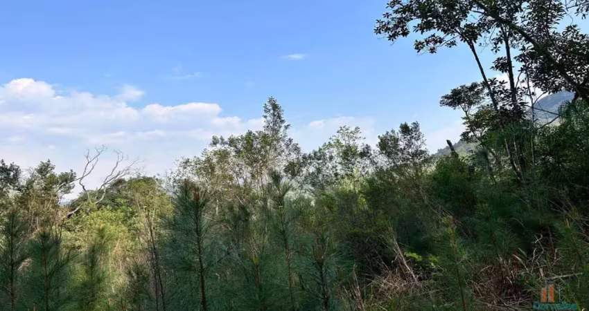 Chácara / sítio à venda na Zona Rural, Caxias do Sul 