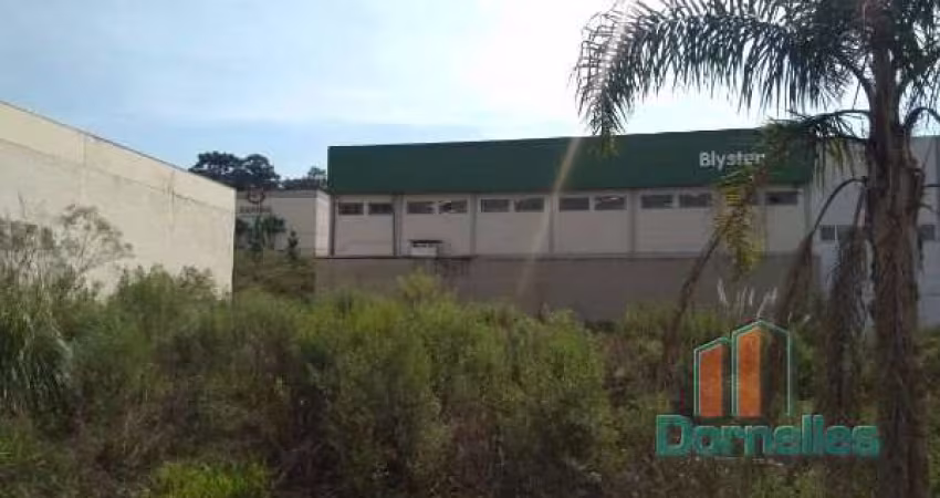 Terreno à venda na Ely Luiz Scalabrin, 02, Sanvitto, Caxias do Sul