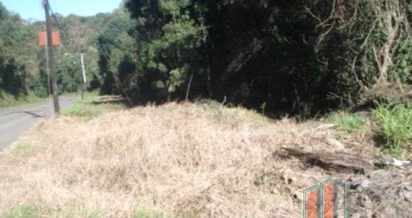 Terreno à venda na Conceicao, 22, Desvio Rizzo, Caxias do Sul